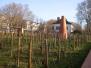 pieds de vigne, parc de Bercy, 12e